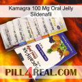 Kamagra 100 Mg Oral Jelly Sildenafil 11